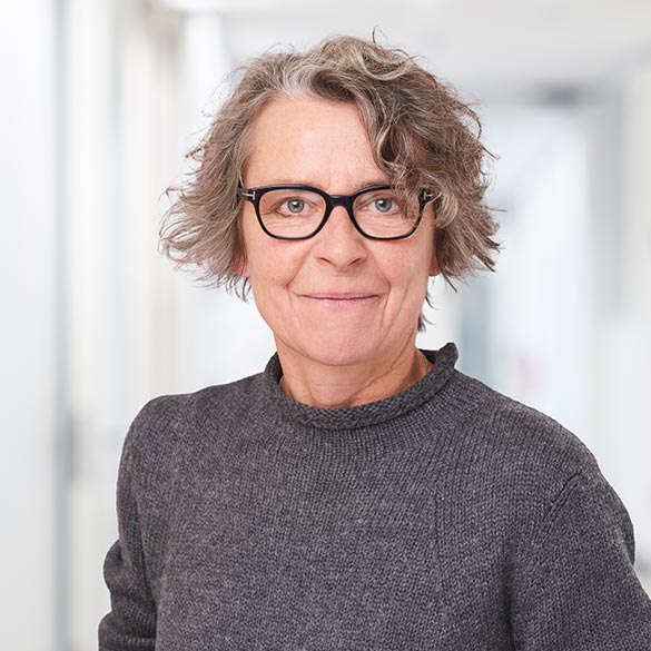 Prof. Dr. Heidi Hahn